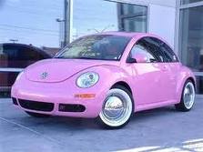 pink beatle